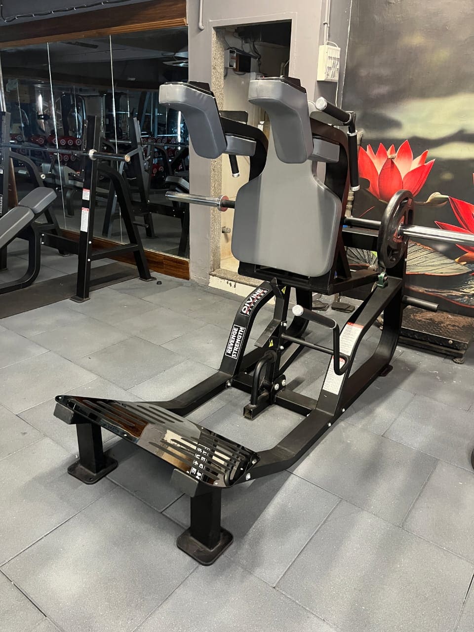 Best Gym Equipment India